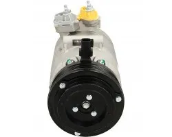 Compresor de aire acondicionado BV Psh 090.595.075.020
