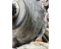 Front reducer BMW X5 F15 F85 10346269 2 99L diesel 190kW 2017 Part manufacturer BMW OE