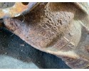 Reductor trasero BMW Serie 3 Convertible (E93) 514992 2.0L diésel 135k