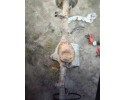 Ford Transit MK6 TYL MOST gear ratio 4 63