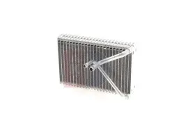 Evaporador de aire acondicionado AKS Dasis 442025N
