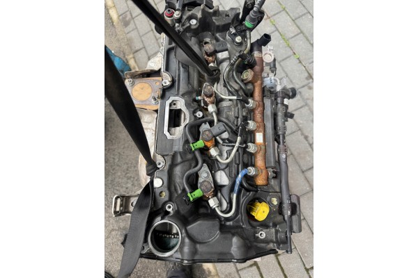 Motor Ford S-Max, Focus, Kuga 2.0 TDCi EcoBlue