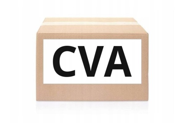 Axial joint CVA V11705055 DB