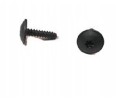 Screw VOLVO S80 100 pcs AS 04 06 05 13 30640602