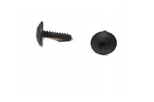 Screw VOLVO S80 100 pcs AS 04 06 05 13 30640602