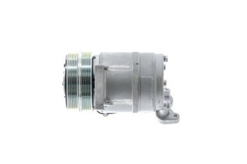 Mahle ACP 1320 000P Compressor air conditioning Catalog number of substitutes Airstal 102 0962 AKS DASIS 851829N AVA Clever Choi