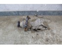 reducer dyfer bridge rear 383004867R stBDB 130TYS KM Dacia Duster II 1 6 SCE Part manufacturer Dacia OE