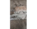 Rear differential Mercedes Vito Viano W639 2003 2014 A6393503214 Catalog number of the part A6393503214