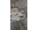Rear differential Mercedes Vito Viano W639 2003 2014 A6393503214 Car type passenger cars