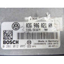 03G906021AN CENTRALITA MOTOR UCE VOLKSWAGEN PASSAT BERLINA (3C2)
