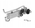 AGR module BorgWarner 710862D 1 Part manufacturer BorgWarner