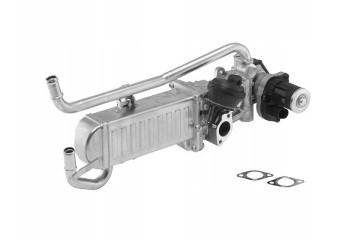 AGR module BorgWarner 710862D 1 Part manufacturer BorgWarner