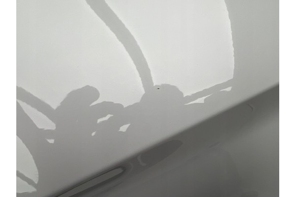 Door Left Rear Cupra Formentor 5FF833051A LS9R New Original Color white