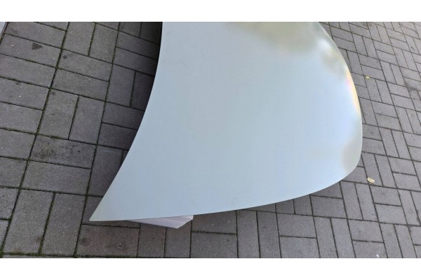 Capó delantero / Tapa del maletero delantero (Frunk) Tesla Model Y 202