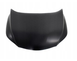 LEXUS RX 2015 2019 MASK COVER STEEL 533010E150
