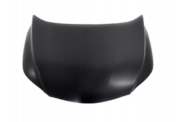 LEXUS RX 2015 2019 MASK COVER STEEL 533010E150