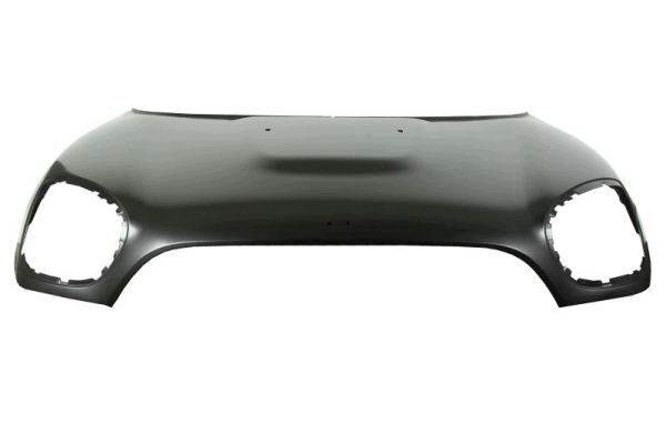 G12BY0_C Engine cover steel fits to MINI CO