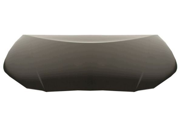 G11I01_C Engine cover steel CAPA fits to T