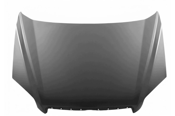 CHEVROLET CAPTIVA 06 11 10255801 Engine Mask Cover