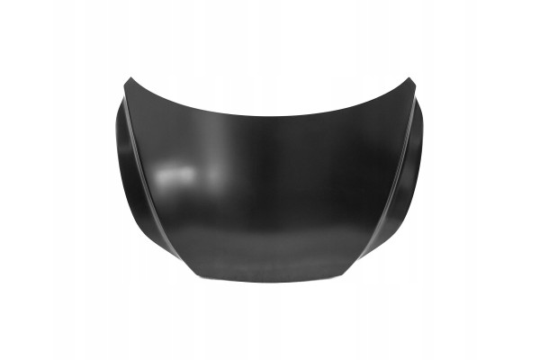 LEXUS RX 22 MASK