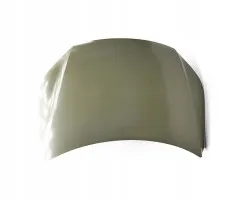 Capó para VW Tiguan 2007 - 2011