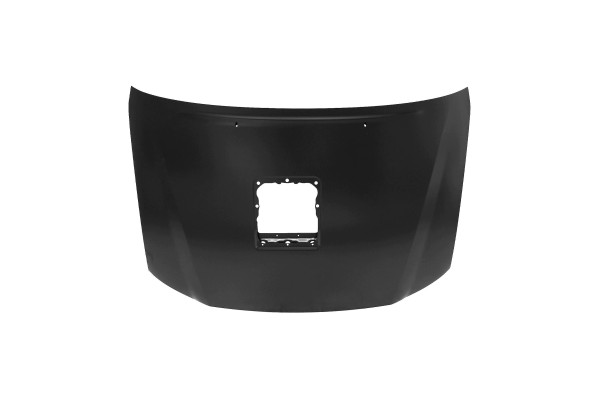 TOYOTA HILUX N70 01 12 06 16 MASK