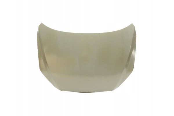 TOYOTA RAV 4 III XA30 02 09 04 10 MASK