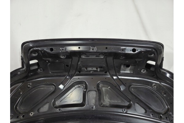Tapa de maletero BMW Serie 3 E92 E93 2009 41627152486
