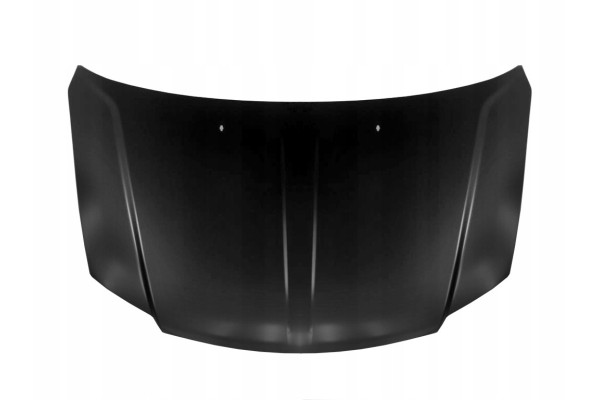 DODGE GRAND CARAVAN 2008 2011 MASK COVER ALUM 4894793AD