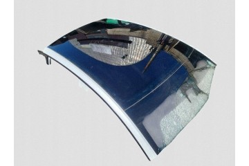 2022 Tesla Model Y Roof Catalog number of the part EQW176489