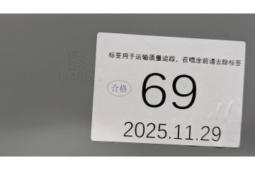 Puerta Trasera Derecha Nueva para Cupra Tavascan 2024 - 11H833312