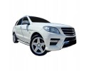 SIDE STEPS THRESHOLDS Mercedes GLE 2012 2019 Catalog number of the part RB020AL