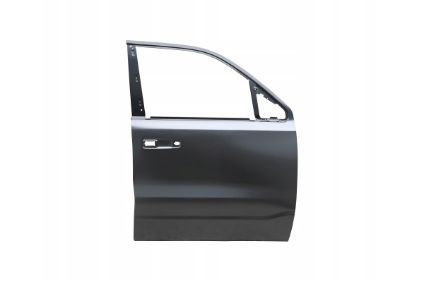 DODGE RAM 19 DOOR