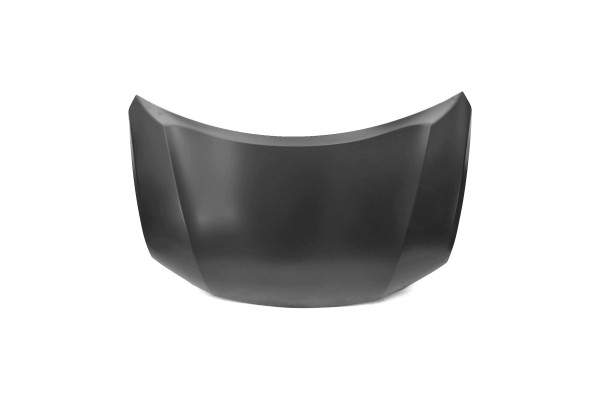 LEXUS RX350 450H 09 12 MASK