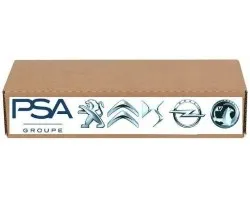 Correa Trasera Original 7243W7 7243.W7 Citroën