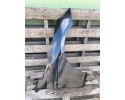 MUDGUARD FRONT RIGHT BMW 5 G60 G61 NICE LUBUSKIE 9621188