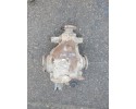 BRIDGE DIFFERENTIAL REAR 3 38 BMW E46 2 0 PETROL 7533145 Catalog number of the part MOST DYFER DYFERENCJA TY TYLNY 3 38 BMW E46 