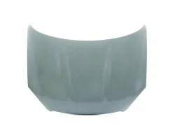 Capó para NISSAN QASHQAI (2010-2013)