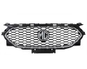 Dummy in bumper OE P WR MG ZS ZS11 07 20 10562324