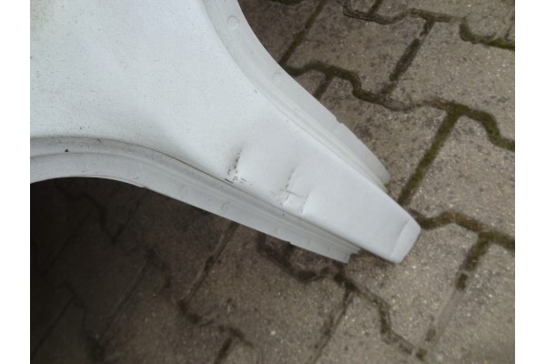 RENAULT KANGOO II ROOF PLATING 00587 RC Part manufacturer Renault OE