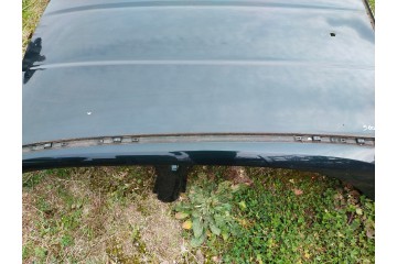 ROOF FIAT 500X 2014 2024 DARK GREEN 330 ORIGINAL Quality of parts according to GVO O original with manufacturer s logo OE