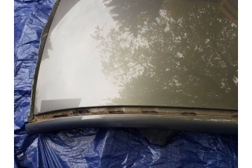 Panel de Techo para Mercedes Clase E W213 SEDÁN, Código de Color 799