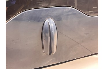 Techo Polestar 2 2021