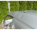 Panel de techo CITROEN BERLINGO / PEUGEOT PARTNER I Facelift 2002-2010