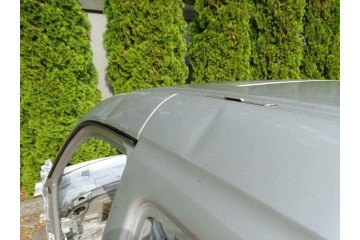 Panel de techo CITROEN BERLINGO / PEUGEOT PARTNER I Facelift 2002-2010