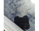 PANORAMIC ROOF CITROEN C3 AIRCROSS COMPLETE ORIGINAL Car type passenger cars