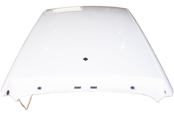 WC190 Skoda Scala Roof White