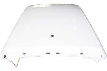 WC190 Skoda Scala Roof White