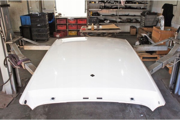 WC190 Skoda Scala Roof White Car type passenger cars