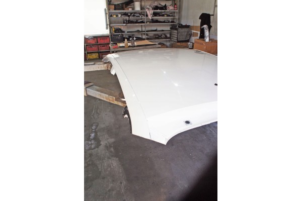 WC190 Skoda Scala Roof White Catalog number of the part WC190